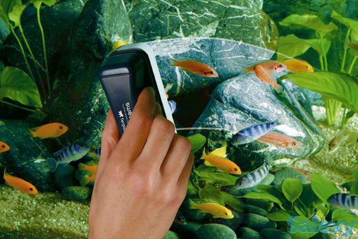 Аквариум обслуживание в Алматы, фотография 1