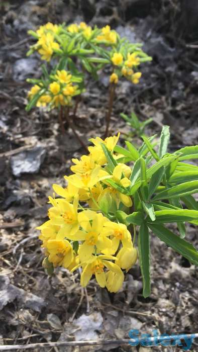 Реклама вашей базы отдыха, домика, фотография 5