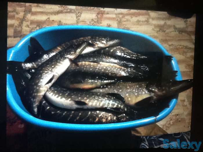 Добротный зимний дом в красивейшем месте, область,Хвойнинский район,ст.Кабожа, фотография 10