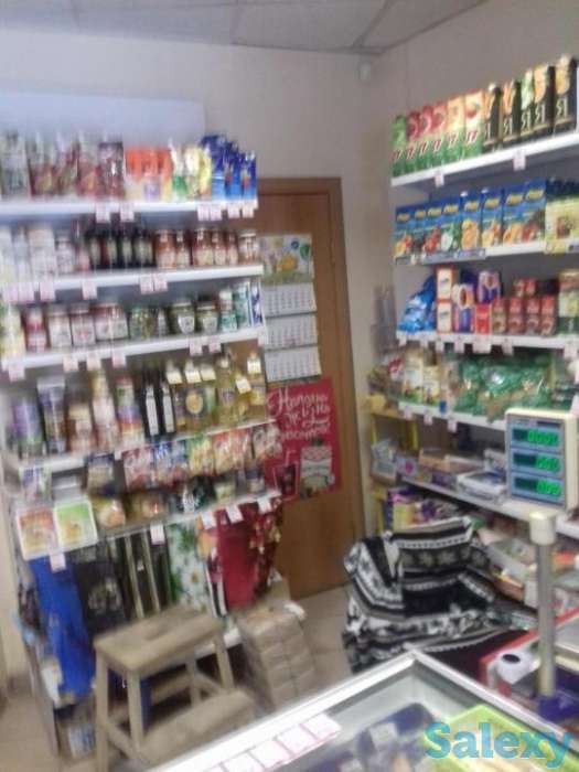 Продажа, ликвидное помещение свободного назначения, готовый арендный бизнес, фотография 3