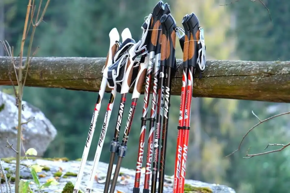 Cертифицированный инструктор по скандинавской ходьбе, фотография 6