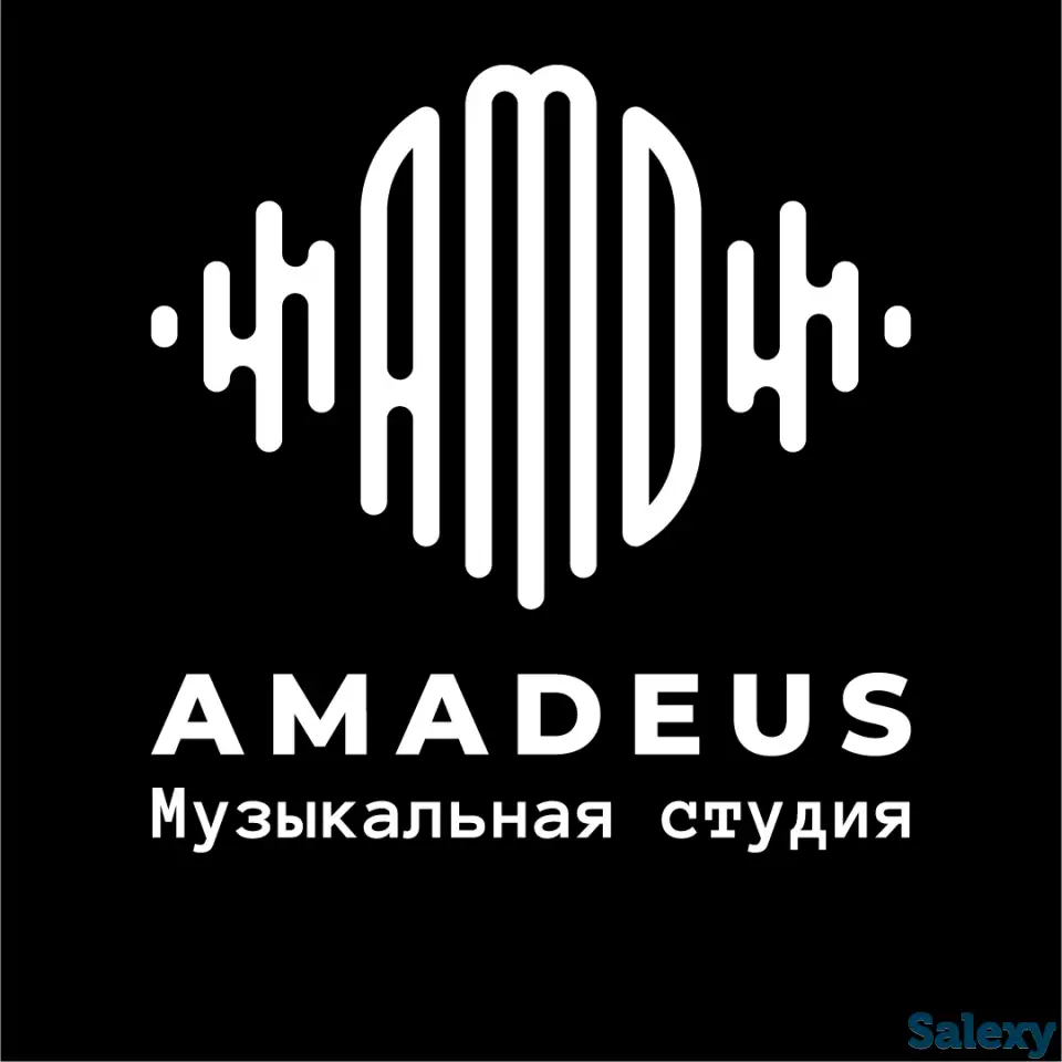 Продам действующую музыкальную школу, фотография 1