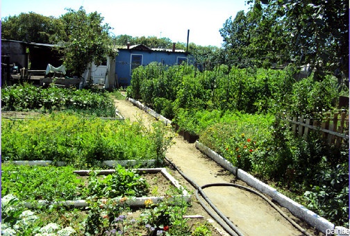 продается дом р-он нового рынка,, фотография 13