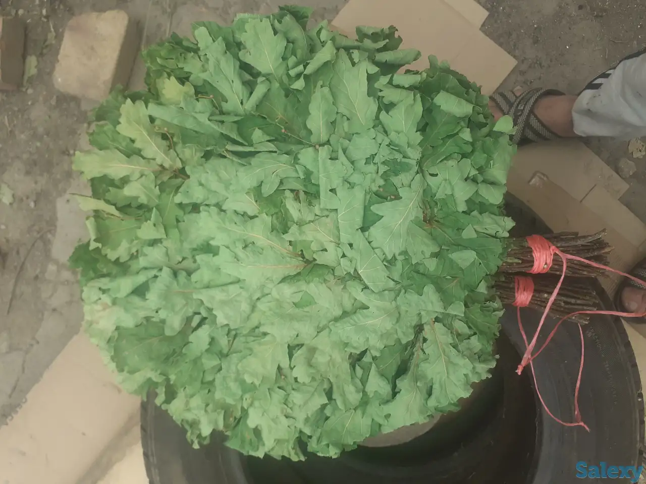 Продам дубовые веники, фотография 1