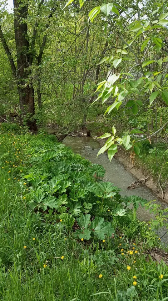 Продажа дачи, фотография 4