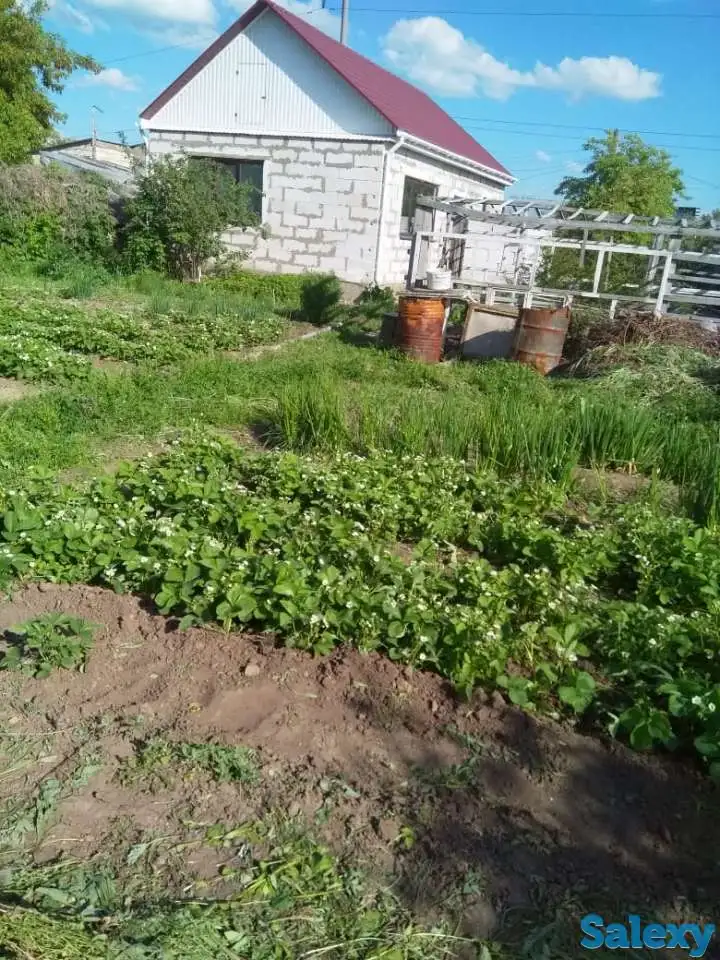 Срочно продам дачу, АЗФ 5, фотография 1