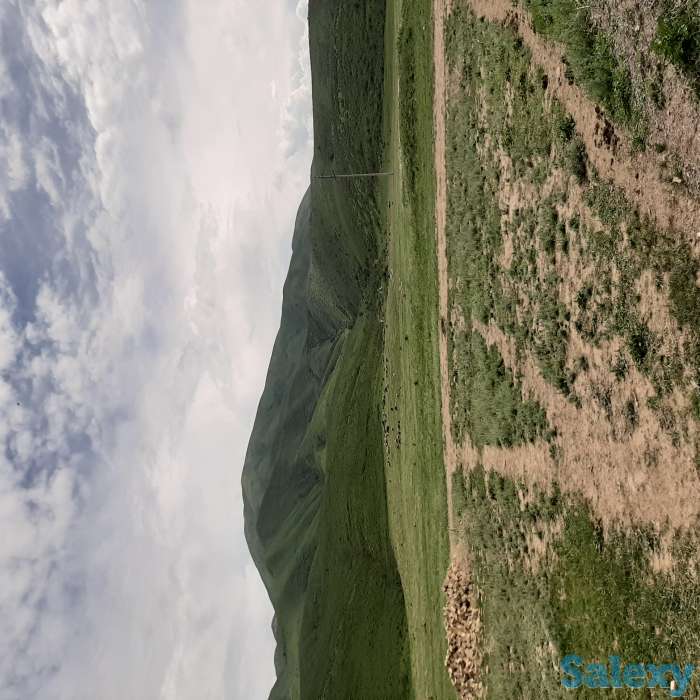 Поход отдых на горы все включено саумал кымыз, фотография 1