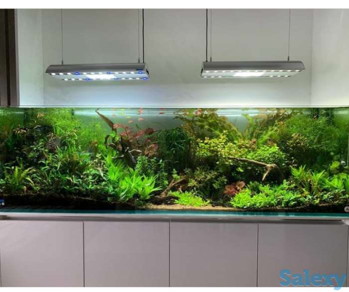 Аквариум изготовление в Алматы, фотография 4