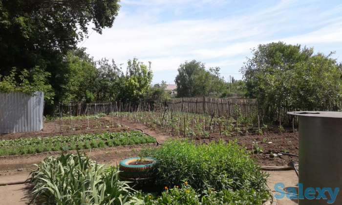 Продам дом в с. Новоишимка (Жанаесиль) 45 км от г. Нур-Султан, фотография 6