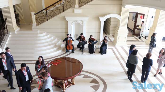 Струнный квартет для вашего мероприятия, фотография 2