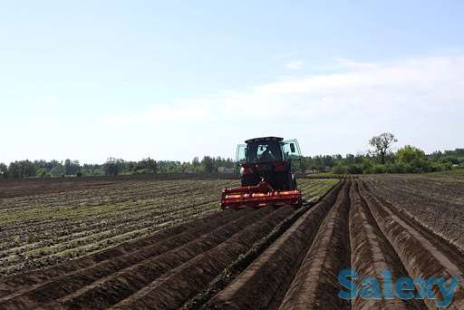 Механизированные работы. Грядообразование., фотография 1