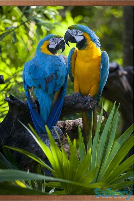 Хит продаж 2017 года.Настенный инфракрасный обогреватель-картина, фотография 3