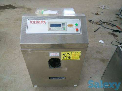 Машина и оборудование для потрошения рыбы, фотография 2