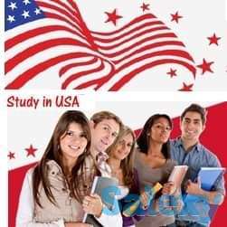 Обучение в Америке, фотография 3