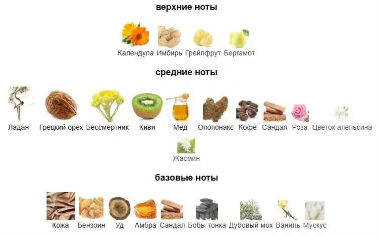 Ароматы пробники Lancоme, Amouage от 1 600 тг., фотография 7