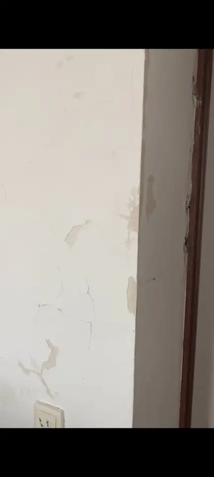 Просторная квартира, 359, фотография 4