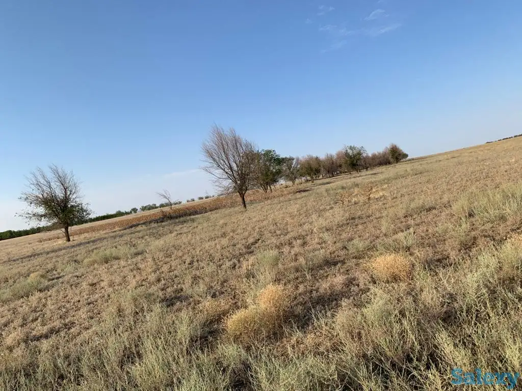 Продажа земельного участка, Алматинская область Илийский район, фотография 3