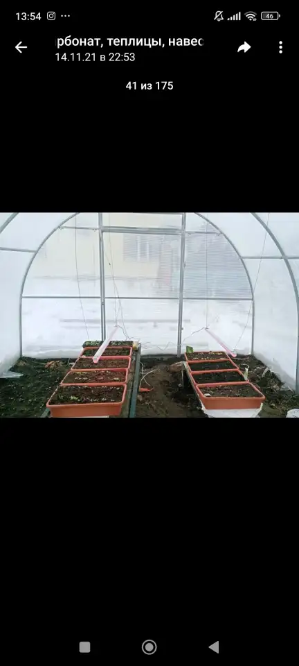 Теплицы с покрытием сотовый поликарбонат, фотография 4