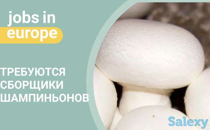 Работа в Польше, работа в Европе, виза в Польшу, фотография 7