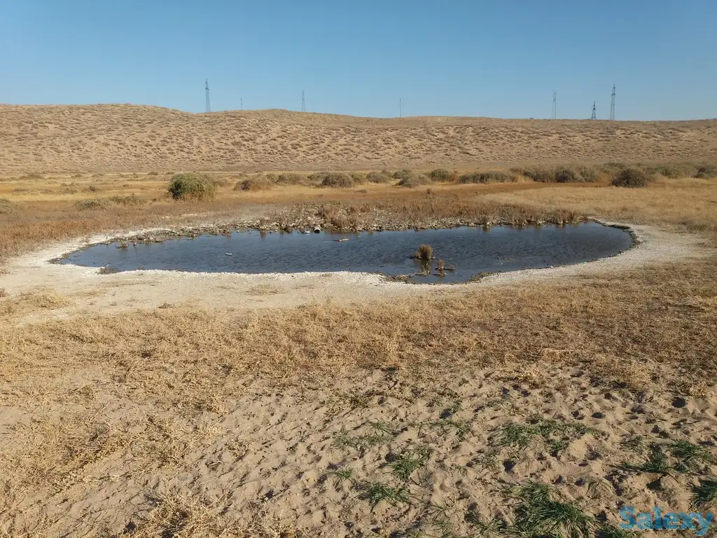 Участок 350 га в Кунаева, фотография 1