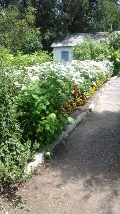 Продажа дома, п.Булакты 60м2, фотография 2