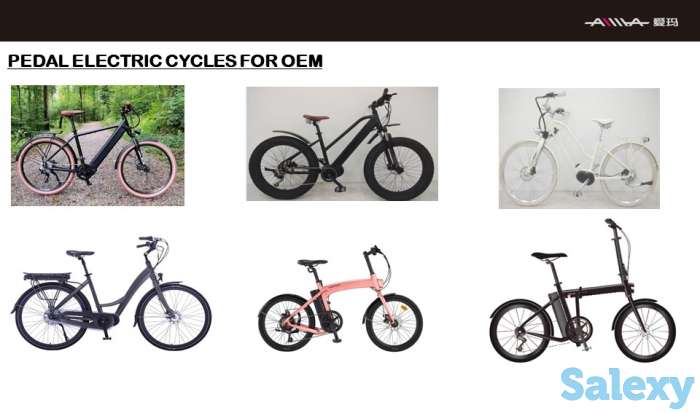 Электротранспорт оптом, фотография 10