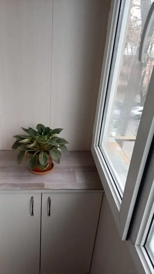 продам квартиру, алматинская область Илийский район. п. Отеген Батыр ул. Титова д.5, фотография 1