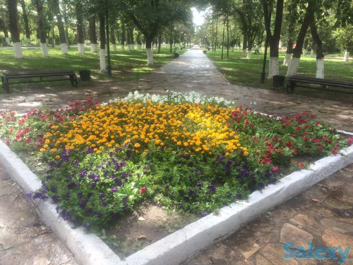 Продам квартиру, Кузембаева 72, фотография 4