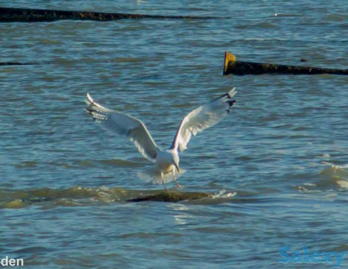 Видео-Фото, фотография 3