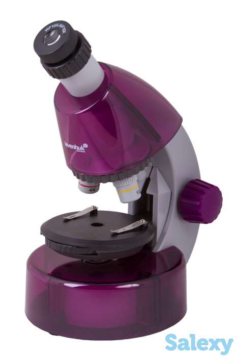 Микроскоп Levenhuk LabZZ M101 (Аметист), фотография 1