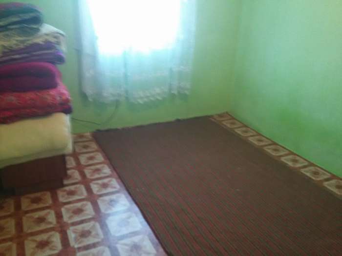 Геолг , фотография 6