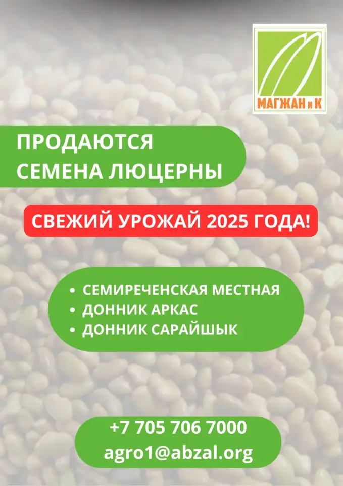 Компанияны негзг ндылыы  ондаан жылдар бойы жинаталан ерекше блм мен тжрибе, сапалы нм ндруде, фотография 7