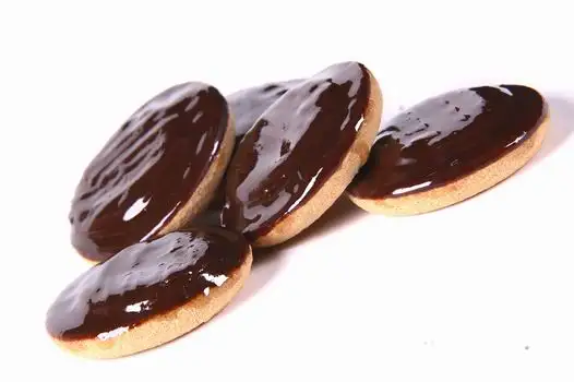 Глазировочная машина ZETA 400 машина для глазирования, декорирования, фотография 5