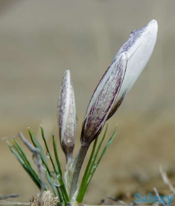 Видео-Фото, фотография 5