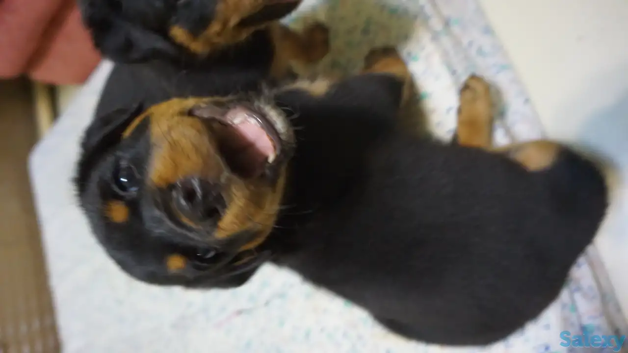 Продам, фотография 3