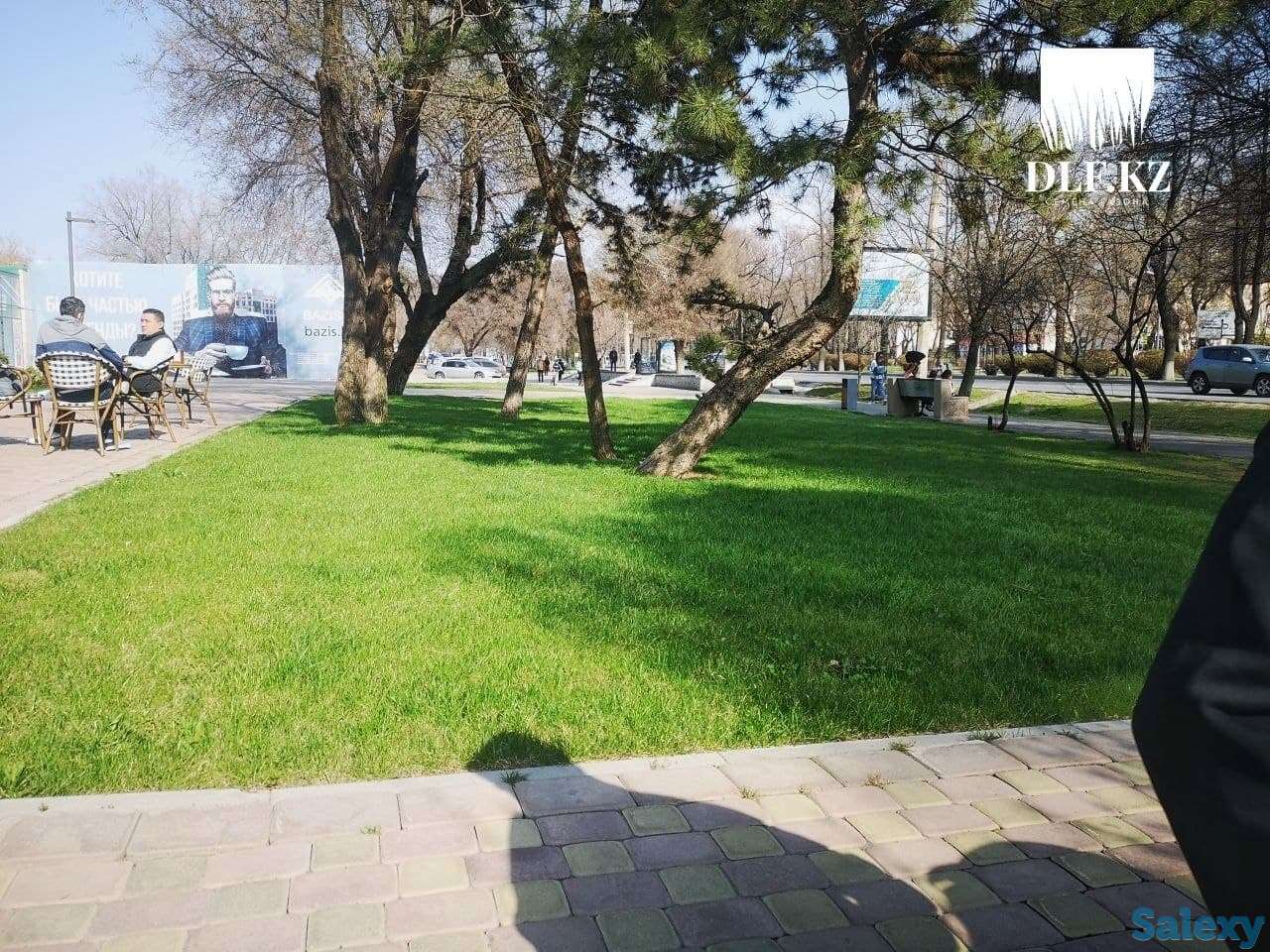 Спортивный газон Dlf Trifolium, фотография 2