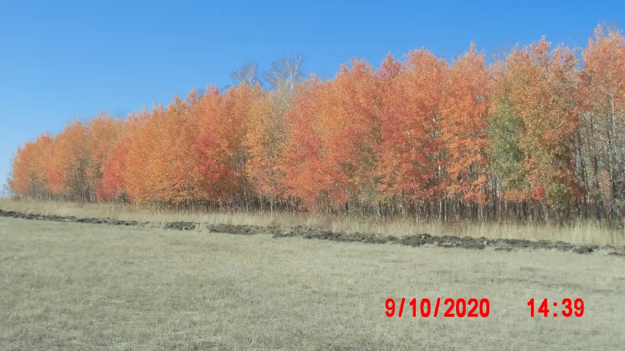 продам автоприцеп для легковой, фотография 1