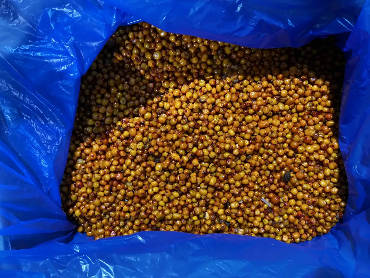 Замороженные ягоды и смеси розницуоптом, фотография 10