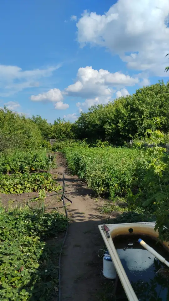 Продам дом, Тобыл ул.Кирпичная 51 КВ.2, фотография 3