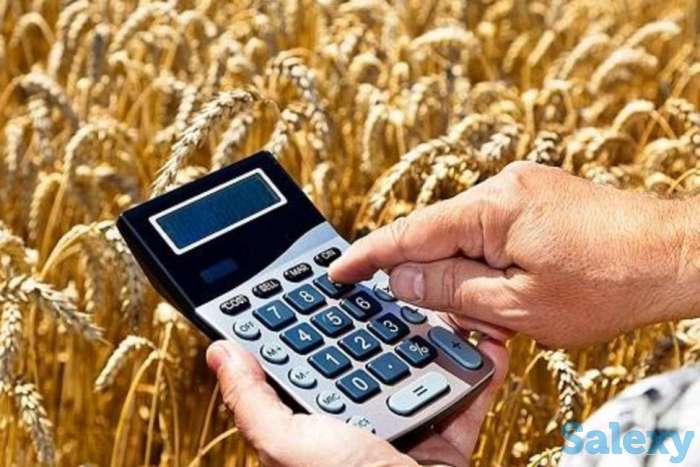 Специалист по субсидиям, фотография 1