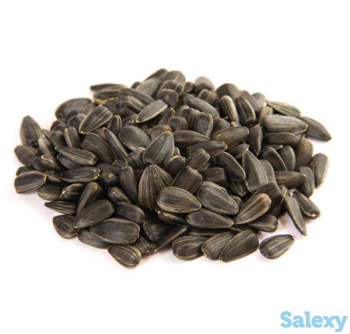 Семечки оптом, фотография 2