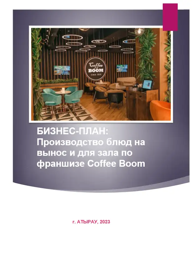 Бизнес план. Финансовая модель, Даму, ТЭО, инвестиционный проект, фотография 2