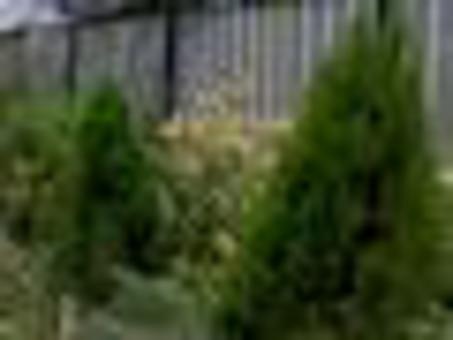  2 смежных участка с домиками, фотография 4