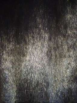 норковая шуба, фотография 3