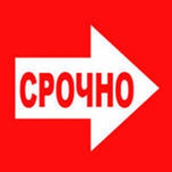 Семья снимет 1 комнатную квартиру, фотография 1