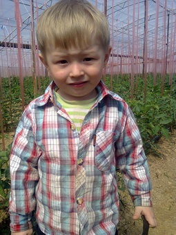 продам теплицу!!!, мкр. Азат, фотография 1