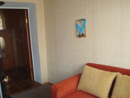 Продам 6-ти комнатный дом! , п.Бельбулак ( Мичурино), фотография 9