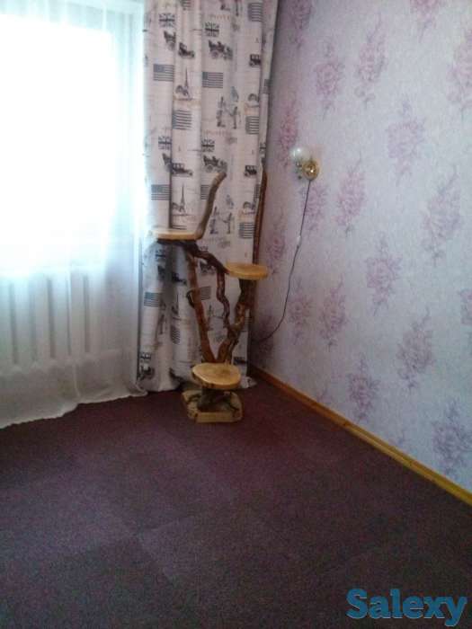 Продам дом или обменяю на квартиру в Алматы., фотография 7