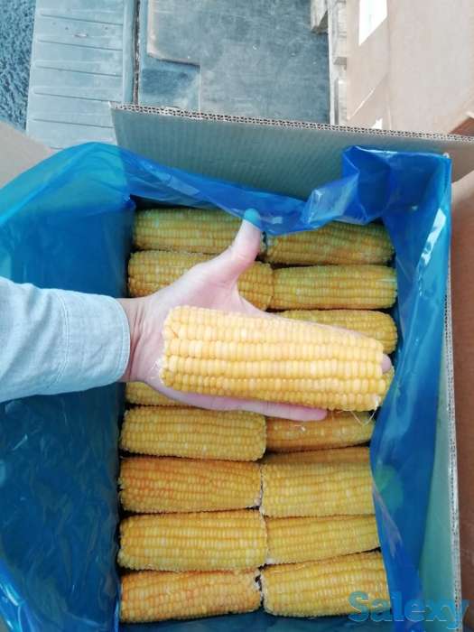 Замороженная Кукуруза в початках и в зёрнах, фотография 3