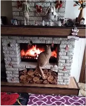 Продается дом, 147 кв. метров, фотография 1